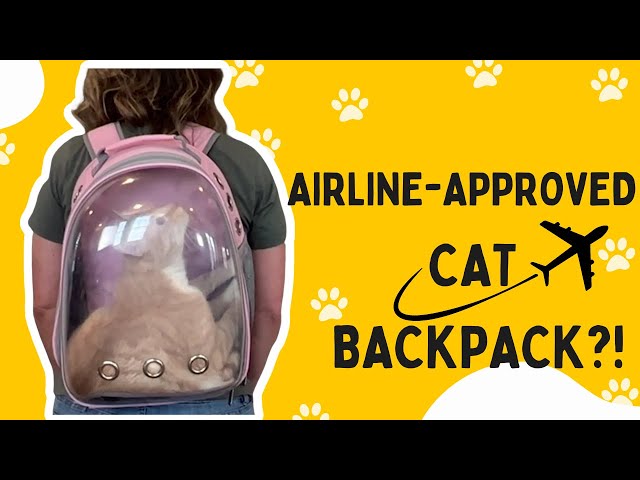 AIRLINE-APPROVED Pet Carrier Backpack Review! 🙀