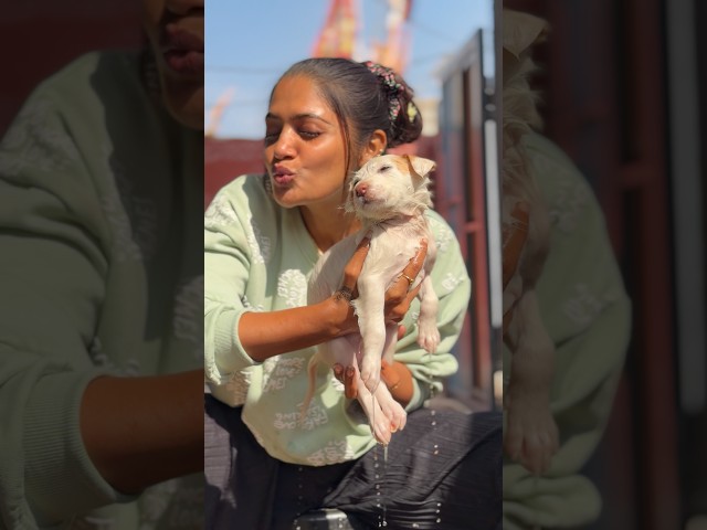 అమ్మ కుట్టి కి స్నానం 🛀🧼 #viral #minivlog #shortvideo #shortsviral #teluguvibes #love #viralvideos