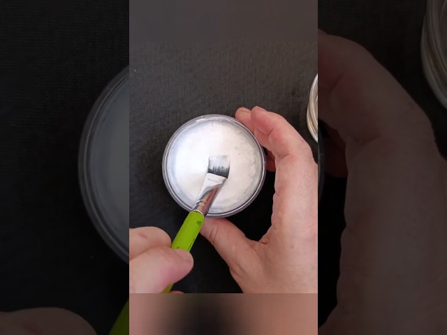 Are You Ready to Paint? ✨ Preparing the Brush for a One Stroke Rose Painting