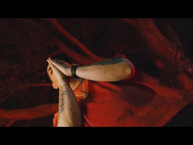 Osquel El Veneno - Desiluciones  (Video Oficial) 
