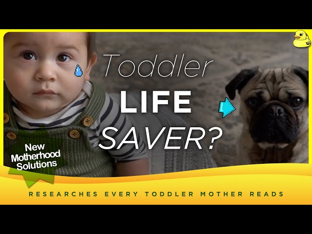 Best Baby Tips: DOGS Naturally Protect Toddlers Thrive? #2024 #mom #tips