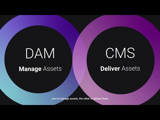 Digital Asset Management vs. Content Management System (CMS)