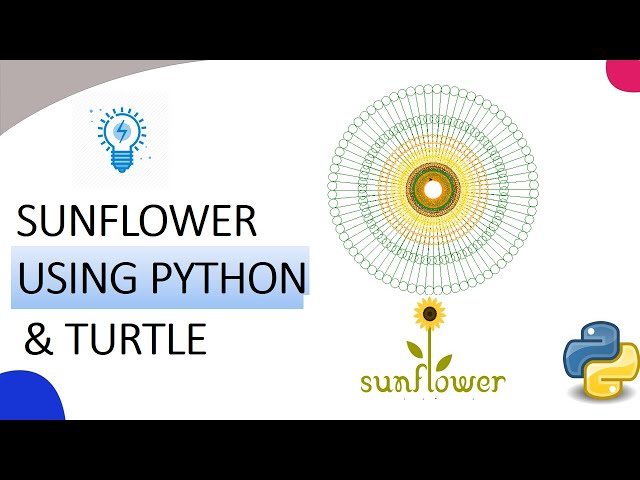 "Make a Sunflower Shape Using Python turtle Graphics" l KNOWLEDGE DOCTOR l Mishu Dhar