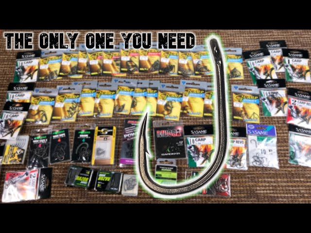 THE BEST CARP HOOK