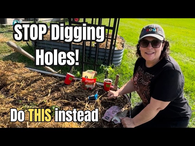 Stop Digging Holes for Your Tomatoes — Do THIS Instead! (Free Cheat Sheet)