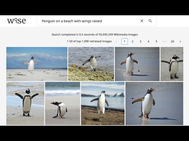 WISE: A Multimodal Search Engine for Visual Scenes, Audio, Objects, Faces, Speech, and Metadata