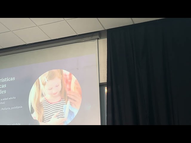 28 de octubre de 2025