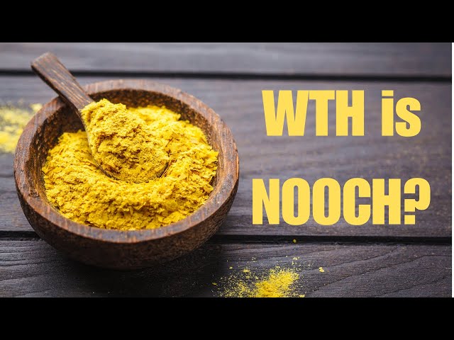 What's So Great About Nutritional Yeast?