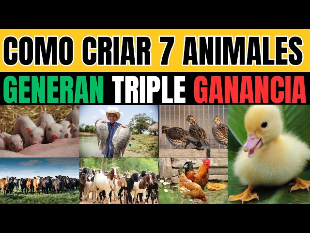 como criar 7 Animales que Generan Triple Ganancia que se Pagan SOLOS en 3 Meses
