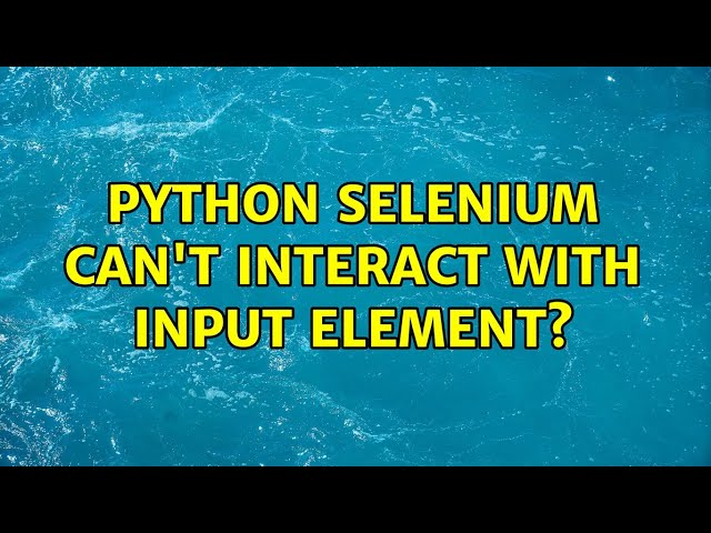 python selenium can't interact with input element? (2 Solutions!!)