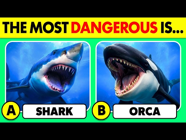 How Good Is Your Knowledge of ANIMALS? 🦈🌎⚠️ 50 Animals Knowledge Trivia Quiz