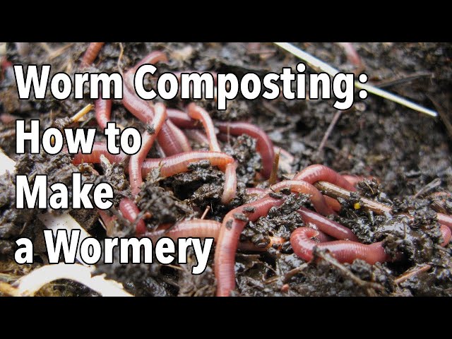 Worm Composting: How to Make a Wormery