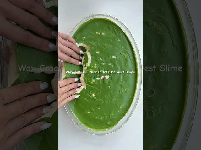 Creamy Slime + Wax Shell ASMR 💚 So Satisfying & Relaxing! | JoliSlime.com