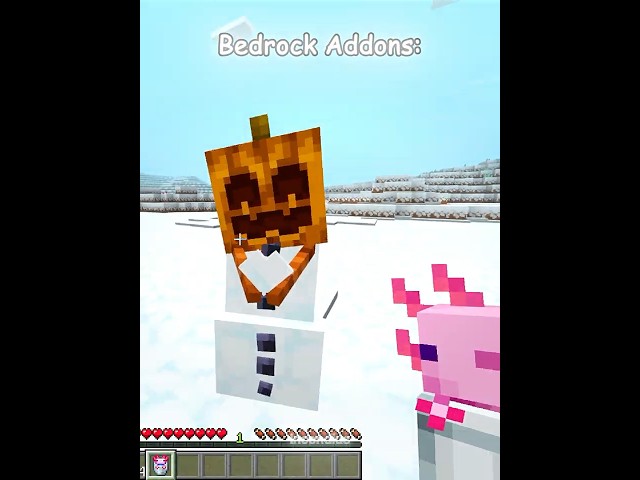 Bedrock VS Java Addons 💀