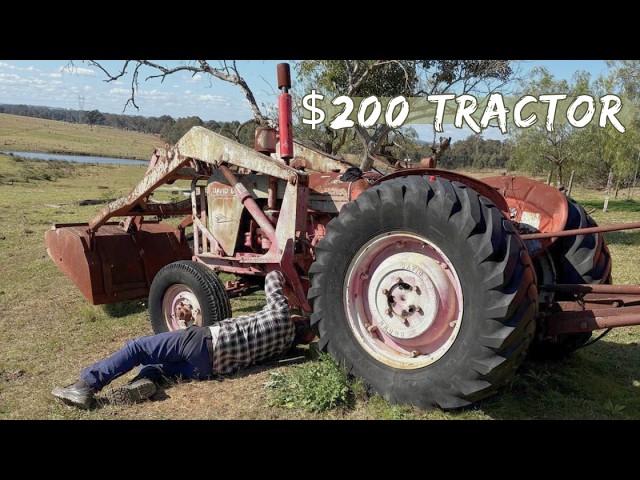 Will It Start After 10 Years? David Brown Tractor