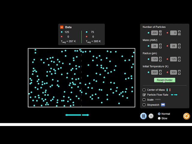 What is dynamic equilibrium | Equilibrium | meriSTEM