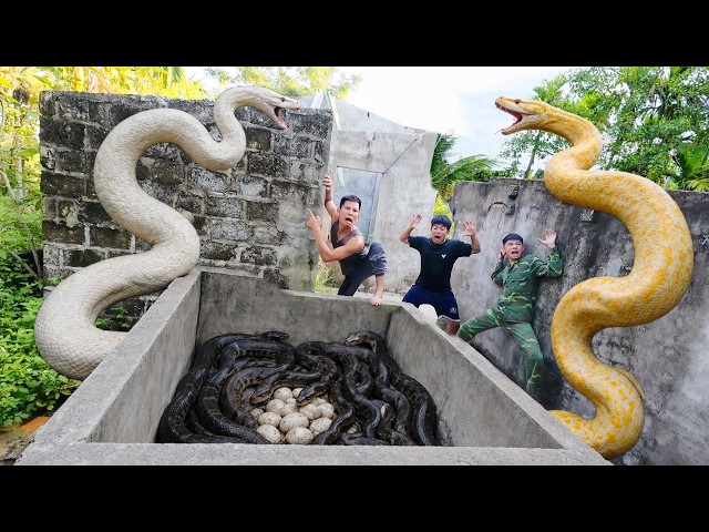 Brave Experts Catch 100 Giant Snakes by Hand in an Abandoned House