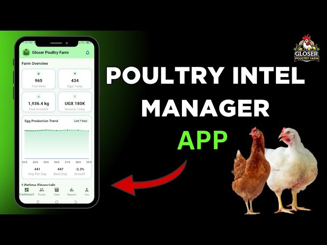Poultry Intel Manager App Demo | Complete Guide to Managing Your Poultry Farm Digitally