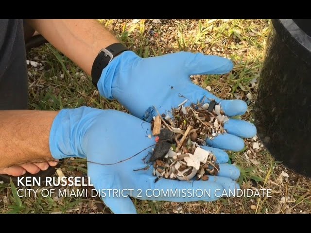 Miami Shoreline Cleanup with Commission Candidates and West Lab Elementary
