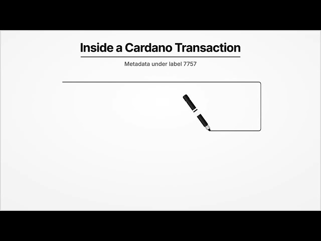 Cardano Merges Quantova Qstamp Label 7757 Into CIP-10, Post Quantum Proof in Transactions | QDojo