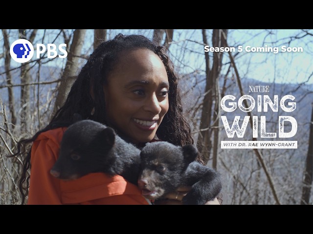 Coming Soon: Going Wild is Getting Wilder
