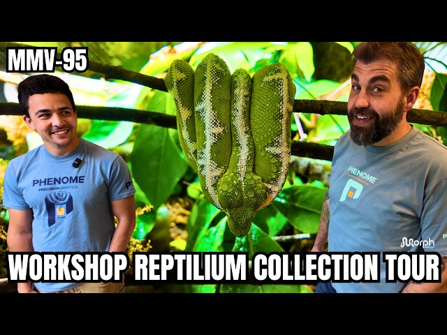 INSANE Full Bio-Active Reptile Collection Tour