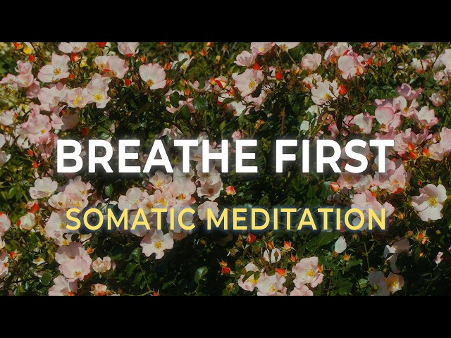 Breathe First, Then Speak | Somatic Meditation for Boundaries & Nervous System Regulation