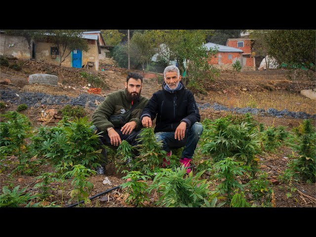 Viví con un PRODUCTOR de HACHÍS en Marruecos