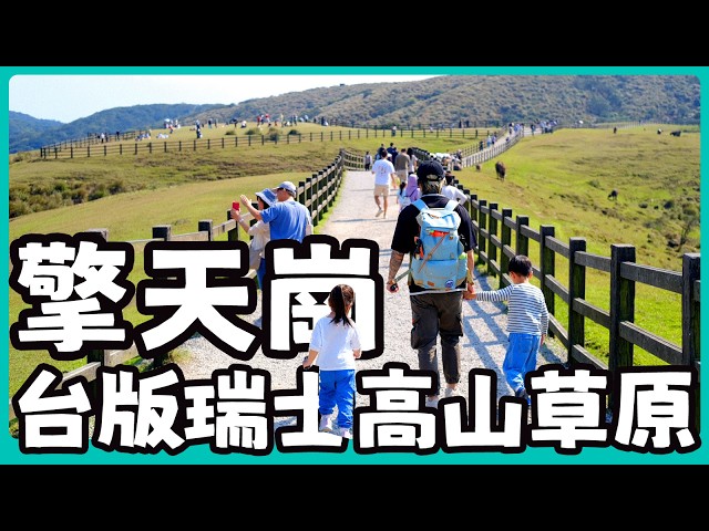 4K 擎天岗 台版瑞士高山草原/旅遊/親子/陽明山/台北/北投/牧場/水牛/上海人到台北生活