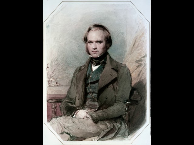 John McNamara (mathematical biologist) | Wikipedia audio article