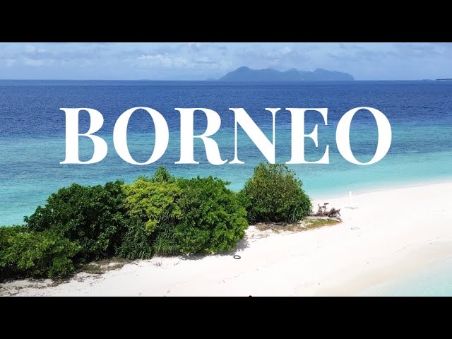 BORNEO. Mini travel guide. Wonders of Borneo island.