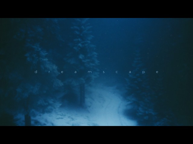 .diedlonely, etsu - unconscious