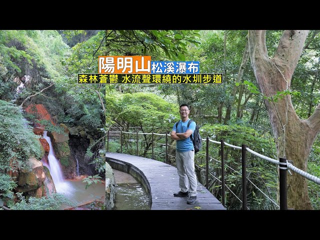 台北市也有這麼棒的森林浴步道！陽明山松溪瀑布沿途輕鬆走又有水流加持，讓氣溫變得涼爽舒服