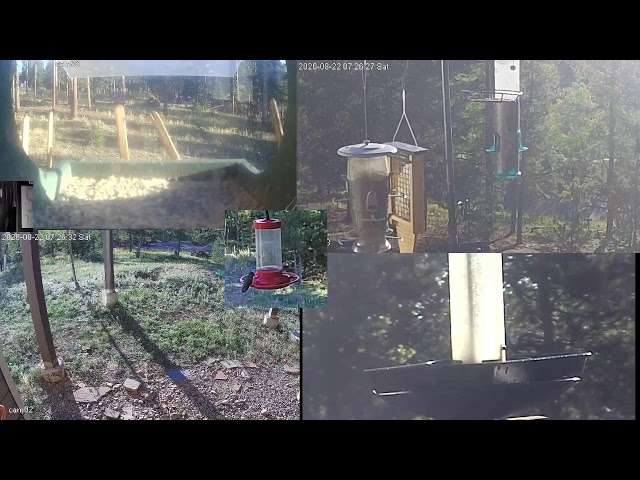 Live Nature Cams