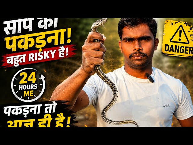 🐍 Dangerous Snake Catching Challenge | 24 Hours Me