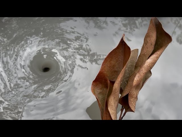 Amazing Water Vortex Experiment! 🌪️ Whirlpool Hole vs Dry Leaves.