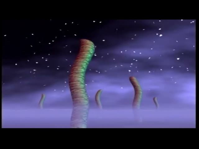 ICYTWAT VISUAL MIX 5