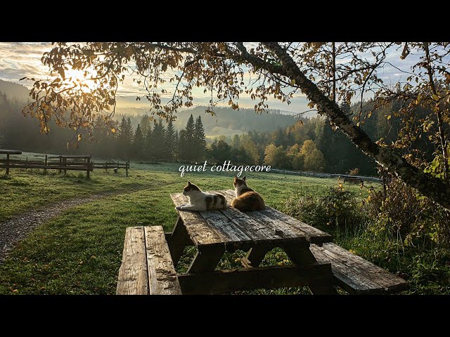 quiet cottagecore vibes 🍃 relaxing playlist for reading, writing & study