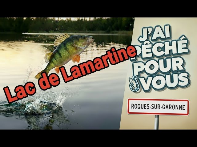 Petit Lac de Lamartine : Le paradis des perches ? 🐟 JPPV #2
