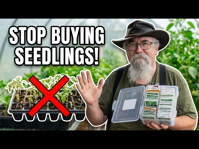Stop Buying Seedlings! Why You’re Wasting Money & How to Fix It