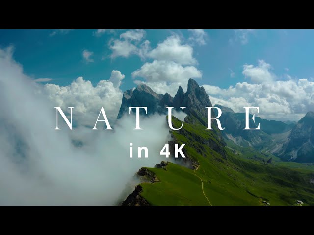 Nature in 4K - Relaxing Compilation, Beautiful Landscapes, Calming Jazz Music | Ultra HD UHD
