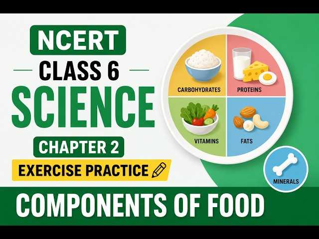 NCERT Class 6 Science, Chapter 2, Exercise 1, Question 5: Components of Food