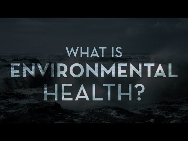 What is Environmental Health?