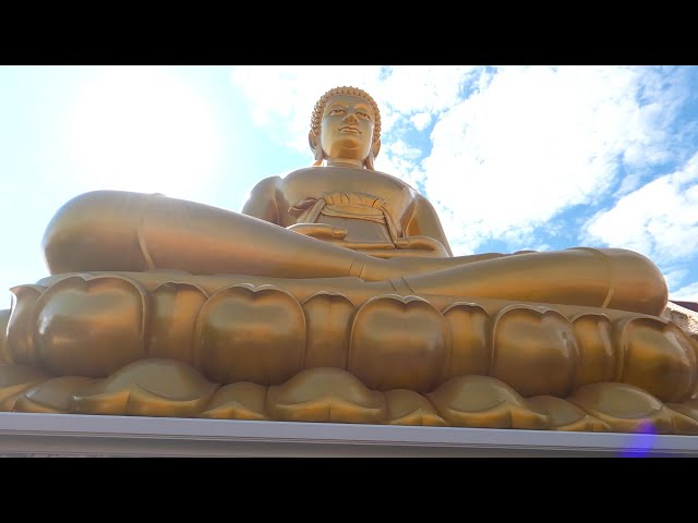 Wat Paknam Huge Buddha!