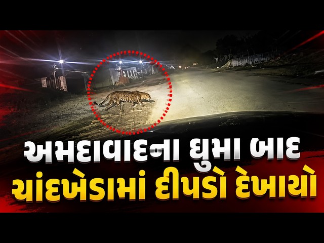 Ahmedabad ના Ghuma બાદ Chandkheda માં પણ દીપડો દેખાયો, Madhav Homes પાસે ફેલાઈ દહેશત