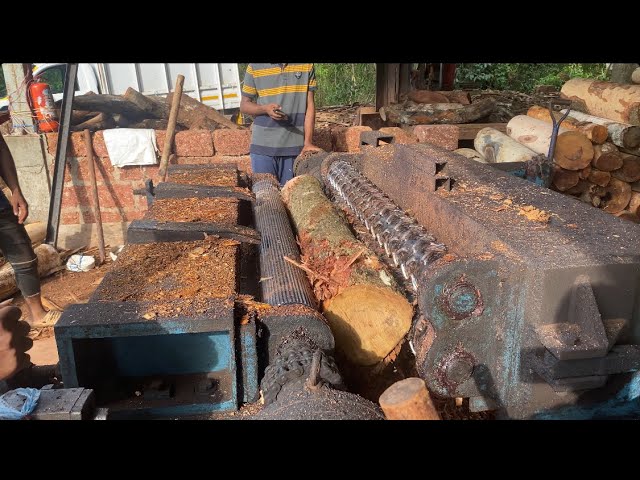 Raw Timber to Veneer | Incredible Peeling Process🪵🌳