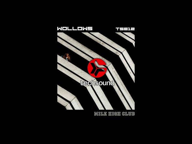Wollows - Pretentious Frames (Original Mix) [Techsound Extra 12]