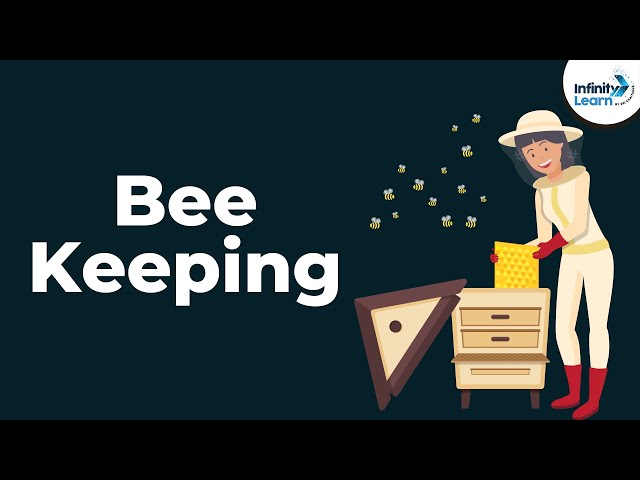 Bee Keeping | Animal Husbandry | Don't Memorise