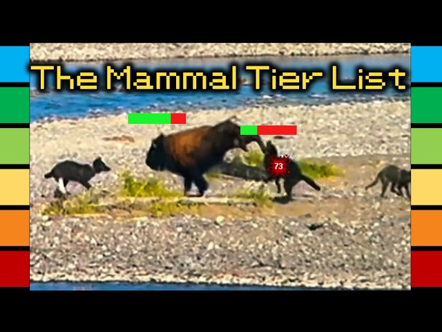 The Mammal Tier List