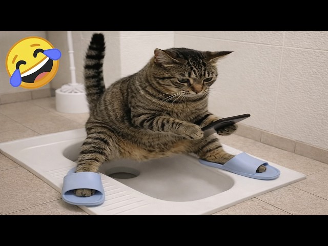 Try Not To Laugh 😂 Funniest Cats & Dogs | Funny Animals #2